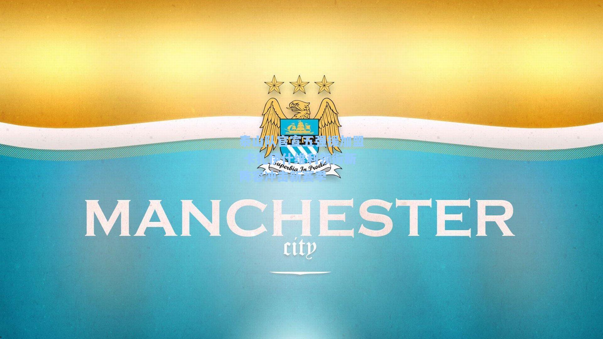 泰山队官宣五强援加盟 卡扎伊什维利领衔新阵容冲击新赛季